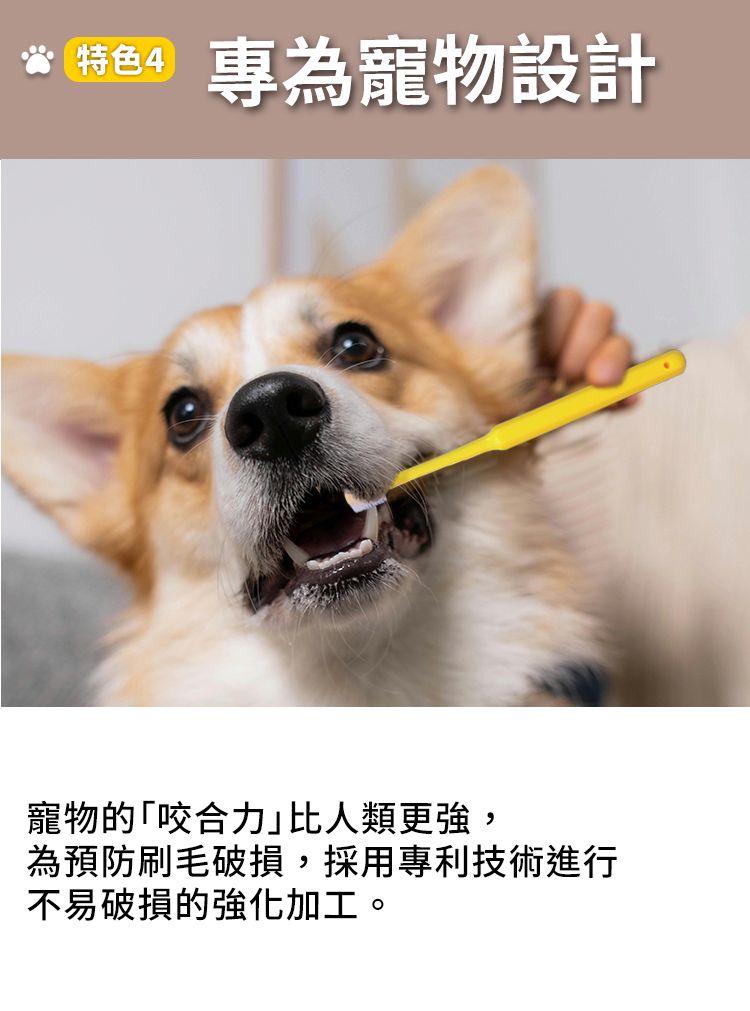特色4專為寵物設計寵物的咬合力」比人類更強,為預防刷毛破損,採用專利技術進行不易破損的強化加工。