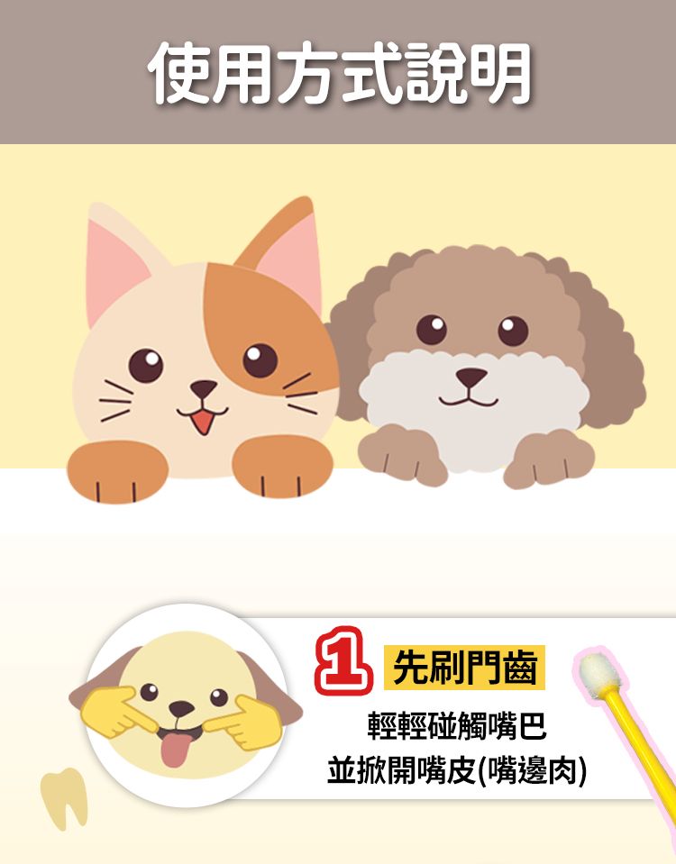 使用方式說明 先刷門齒輕輕碰觸嘴巴並掀開嘴皮(嘴邊肉)