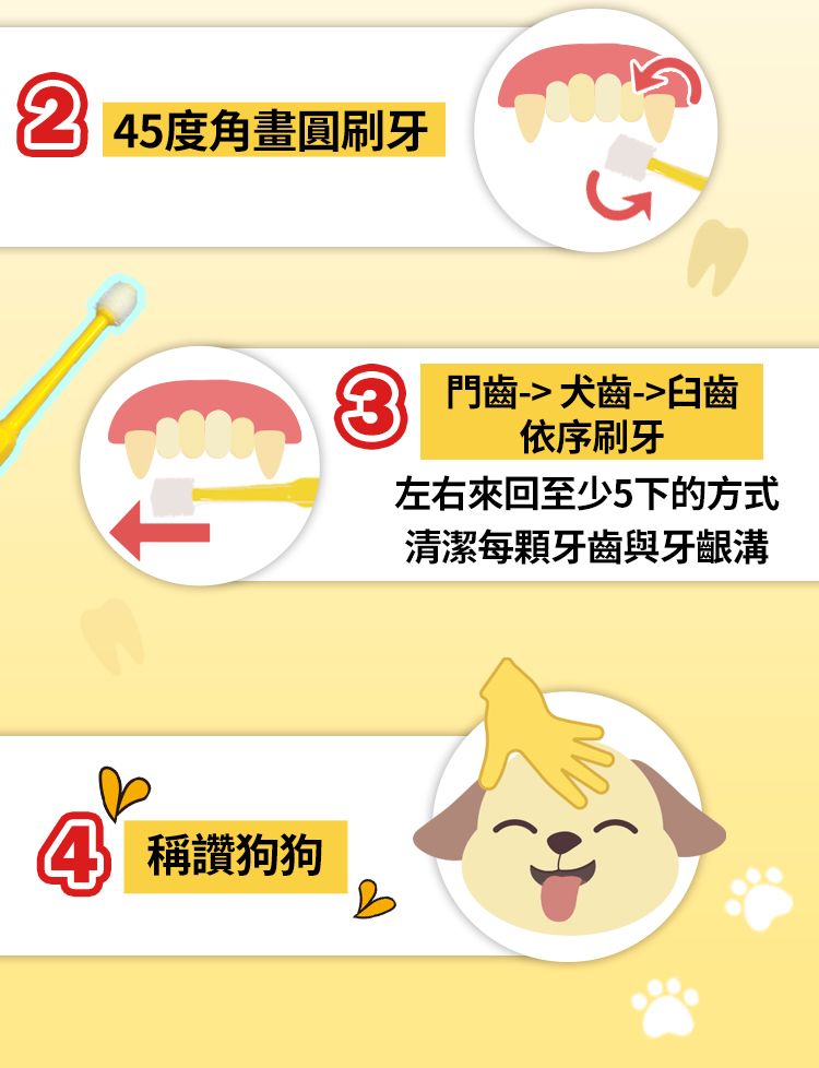 5度角畫圓刷牙4 稱讚狗狗門齒犬齒-臼齒依序刷牙左右來回至少5下的方式清潔每顆牙齒與牙齦溝