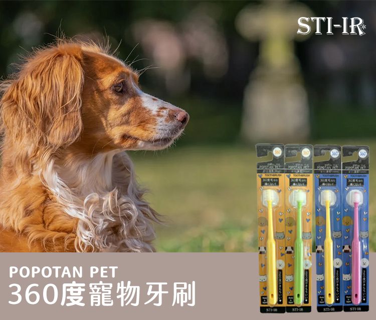 POPOTAN PET度寵物牙刷STI-IR 360ない STHR