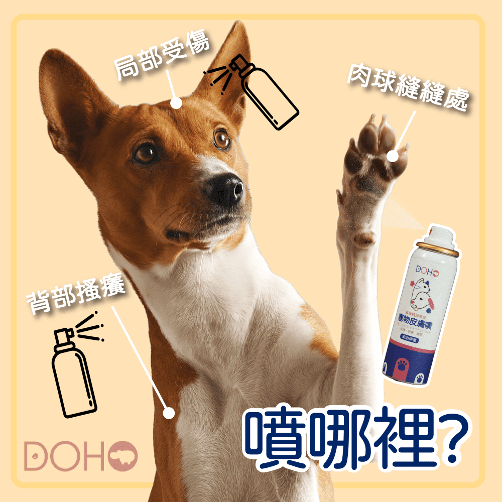 DOHO  寵物皮膚噴75ml 寵物液態OK繃