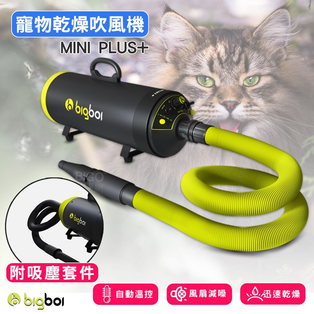 bigboi MINI PLUS+ (寵物乾燥吹風機+專用吸塵配件) 吹水機 乾燥吹風機 寵物吹水機