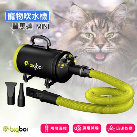 【bigboi】MINI 單馬達乾燥吹風機 寵物吹水機 低噪音 大風力 大風速 恆溫設計 汽車美容