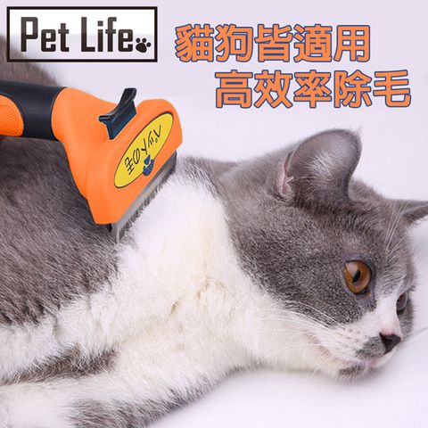 Pet Life 寵物專用除毛刷/貓狗去毛刷 橘