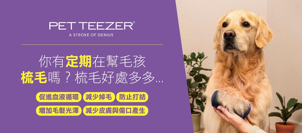 Pet Teezer提碁】毛孩幼犬梳-淘氣青- PChome 24h購物