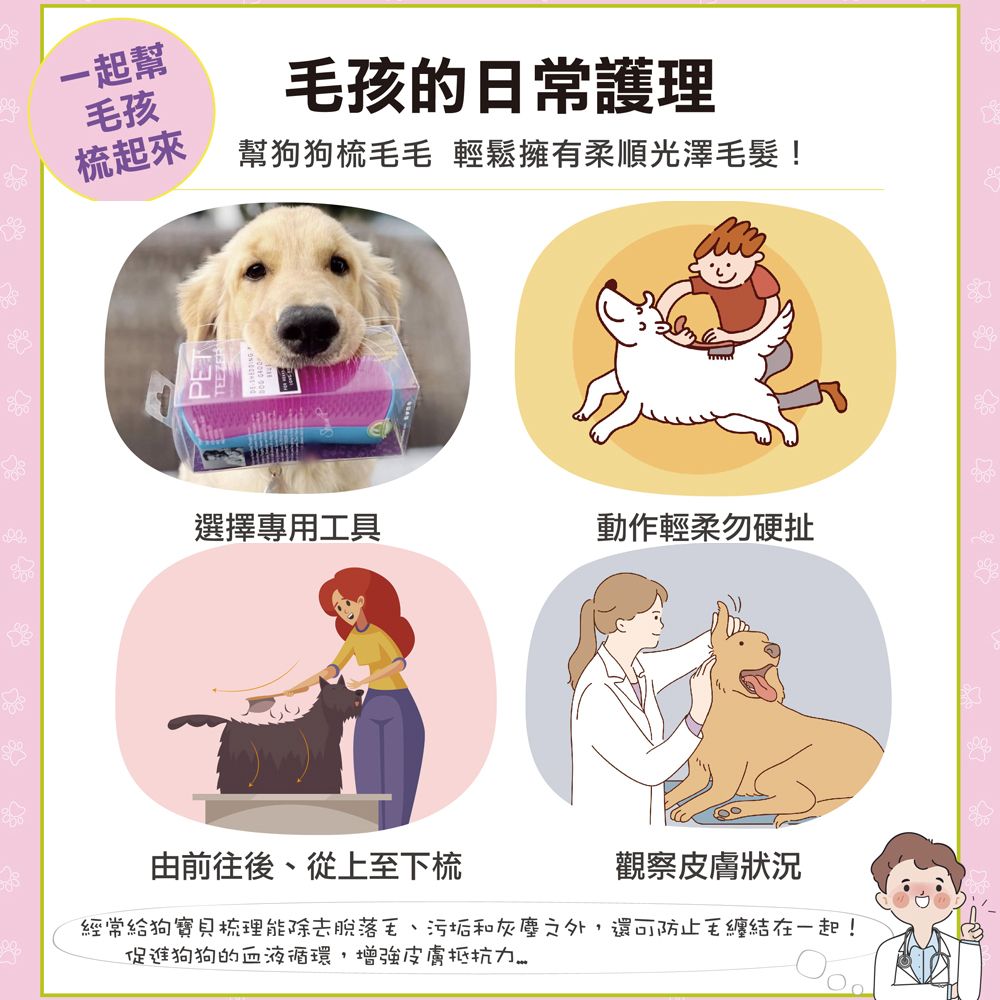 Pet Teezer提碁】毛孩幼犬梳-淘氣青- PChome 24h購物