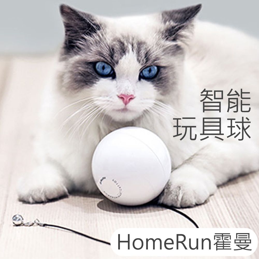 HomeRun 霍曼 霍曼智能玩具球~滾來滾去超好玩