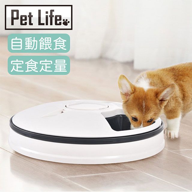 Pet Life  智能定時定量寵物餵食器/六孔分隔自動旋轉餵食器 灰白