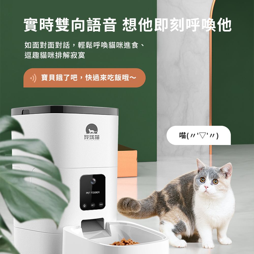 dudupet  小白智慧寵物餵食器4L【智慧版DU4L-WS】 貓狗自動餵食器定時定量語音錄製手機APP控制雙供電設計不斷糧