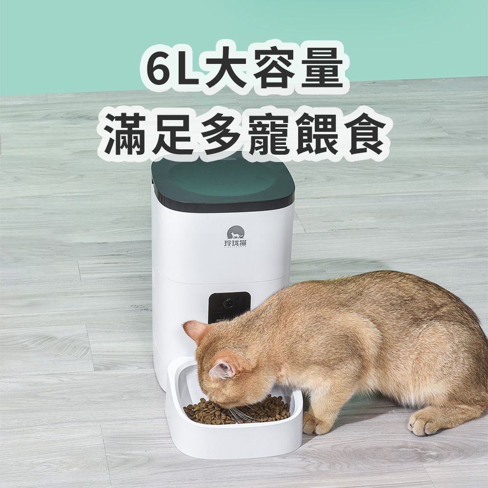 dudupet  小白智慧寵物餵食器6L【智慧WIFI版】 貓狗自動餵食器定時定量語音錄製手機APP控制雙供電設計不斷糧