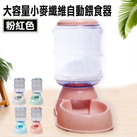 大容量小麥纖維自動餵食器  多款任選 