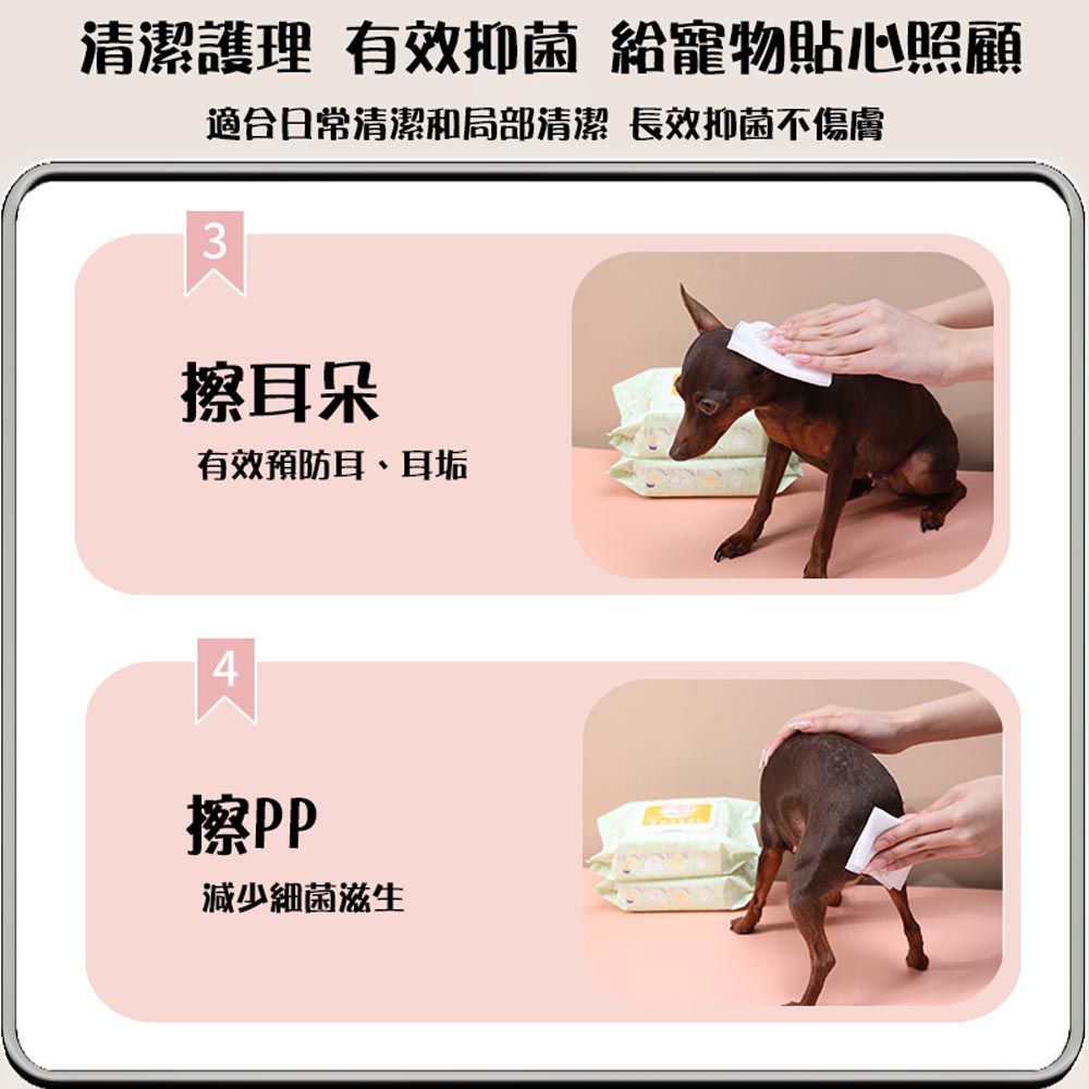 寵物專用濕紙巾12抽無酒精無香精清潔除臭【5入】 - PChome 24h購物