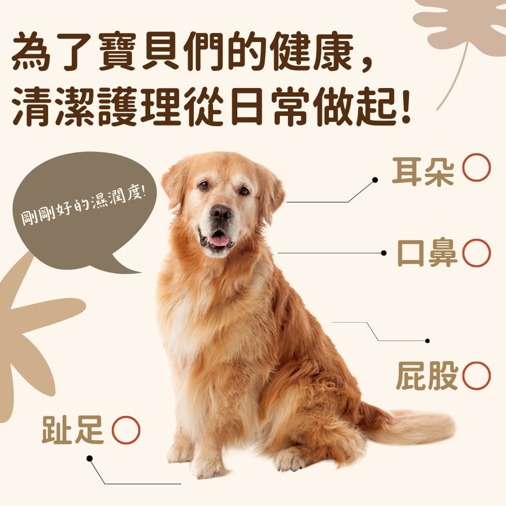 為了寶貝們的健康,清潔護理從日常做起!剛剛好的濕潤度!耳朵口鼻趾足○屁股○