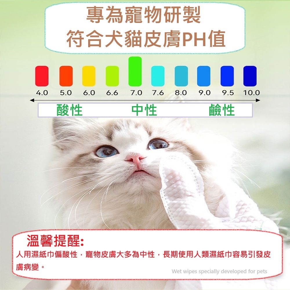  寵物 超值12入 寵物SPA清潔護理手套 清潔濕紙巾手套 一次性清潔用品