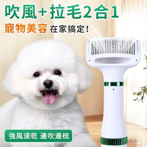二合一寵物吹風機 吹水機 一鍵除毛清潔梳 寵物梳