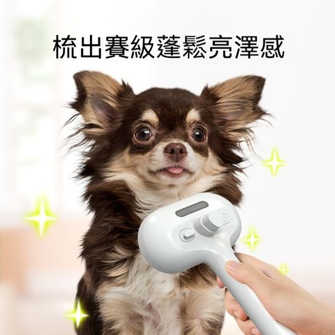 【OSLE 歐適樂】寵物噴霧拉毛梳充電貓梳子狗除毛開結梳去浮毛