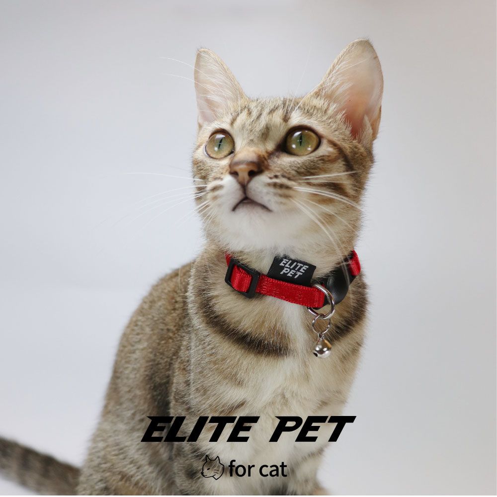 ELITE PET 經典系列 貓兔專用安全扣項圈 2-6公斤