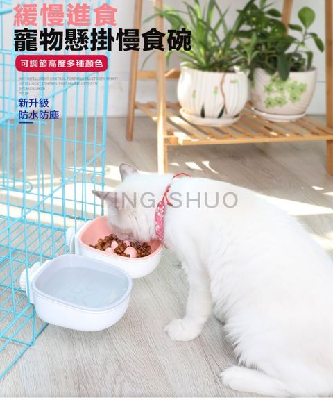 懸掛式慢食碗 寵物碗 狗碗 貓碗 寵物碗 寵物飼料碗 防噎 消化 貓狗碗 籠子 凹凸腳印防噎款