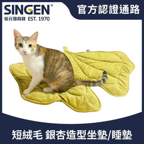 Haipet SINGEN  銀杏造型寵物坐墊 FOFOS兩隻福狸聯名款