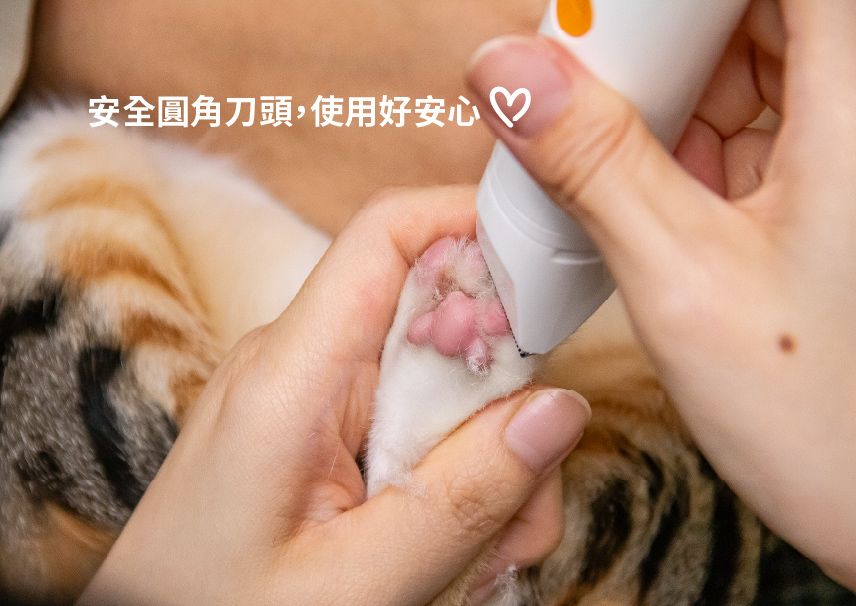 安全圓角刀頭,使用好安心 ♡