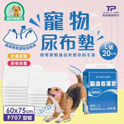 【勤達】超大吸收寵物尿墊升級款-L號-60x75cm-20片裝/包(犬用尿墊、貓用尿墊、吸水尿布、狗尿布、貓尿布)