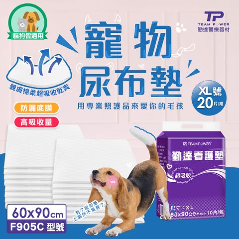【勤達】超大吸收寵物尿墊升級款-XL號-60x90cm-20片裝/2包組(犬用尿墊、貓用尿墊、吸水尿布、狗尿布、貓尿布)