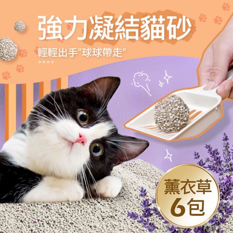 【毛孩王】強效除臭 強力凝結 貓砂5kgX6包-薰衣草