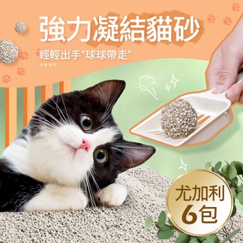 【毛孩王】強效除臭 強力凝結 貓砂5kgX6包-尤加利