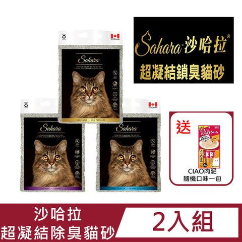 Sahara 沙哈拉 【二入組】超凝結鎖臭貓砂(無香/薰衣草/爽身清香) 10KG(隨機贈送CIAO一包)