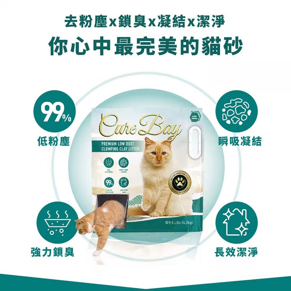  【3入組】美國 Assin Anneil 極細低塵速凝礦砂 貓咪礦砂 凝結礦砂 貓砂 3入組 (12.6kg/28.5LBs)
