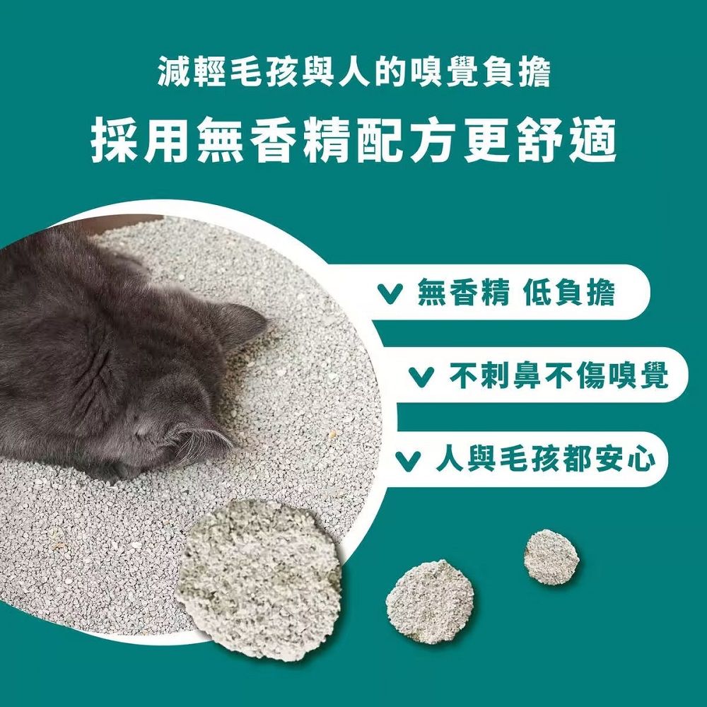  【3入組】美國 Assin Anneil 極細低塵速凝礦砂 貓咪礦砂 凝結礦砂 貓砂 3入組 (12.6kg/28.5LBs)