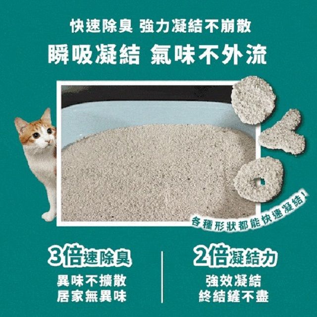  【3入組】美國 Assin Anneil 極細低塵速凝礦砂 貓咪礦砂 凝結礦砂 貓砂 3入組 (12.6kg/28.5LBs)