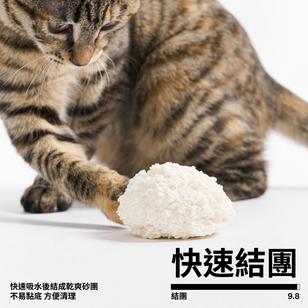 PIDAN 木薯貓砂 原味 (木薯砂) 超值4包入