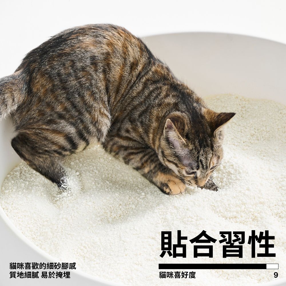PIDAN 木薯貓砂 原味 (木薯砂) 超值4包入