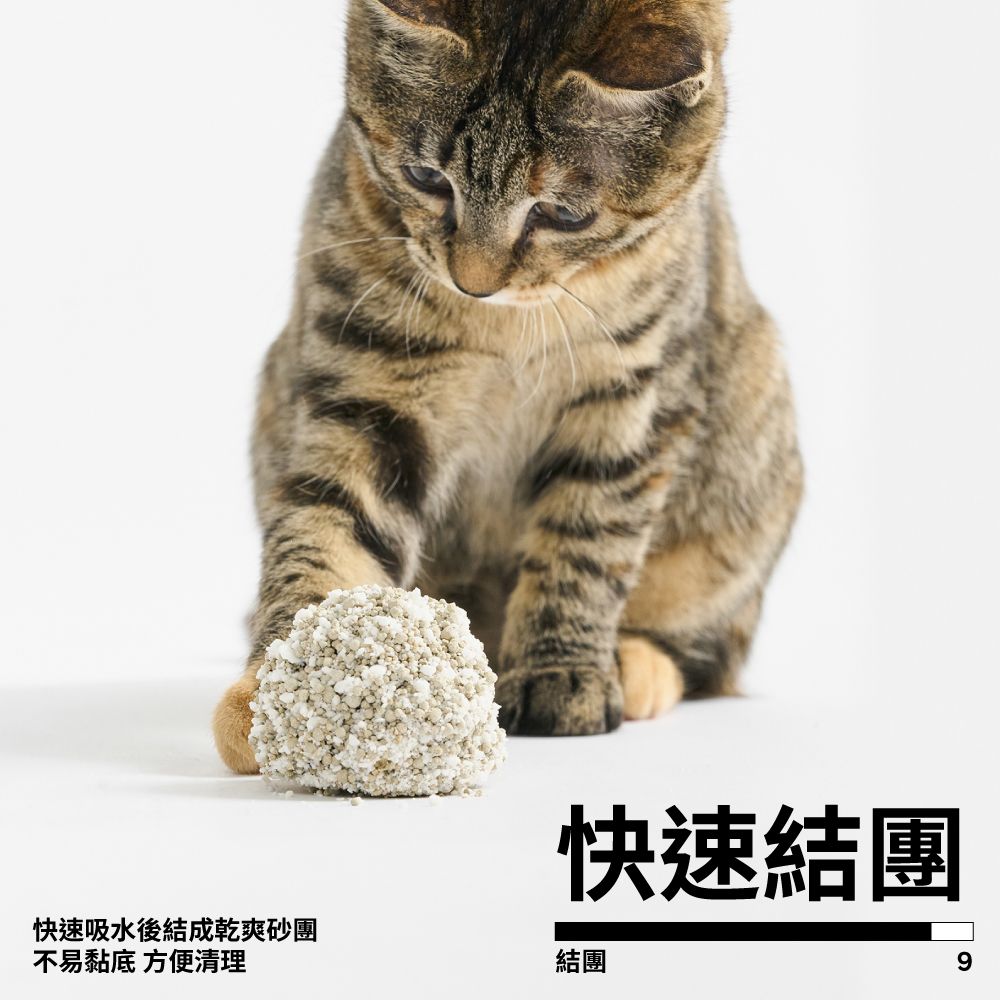 PIDAN 木薯貓砂 木薯礦砂 (木薯砂+礦砂) 超值四包入