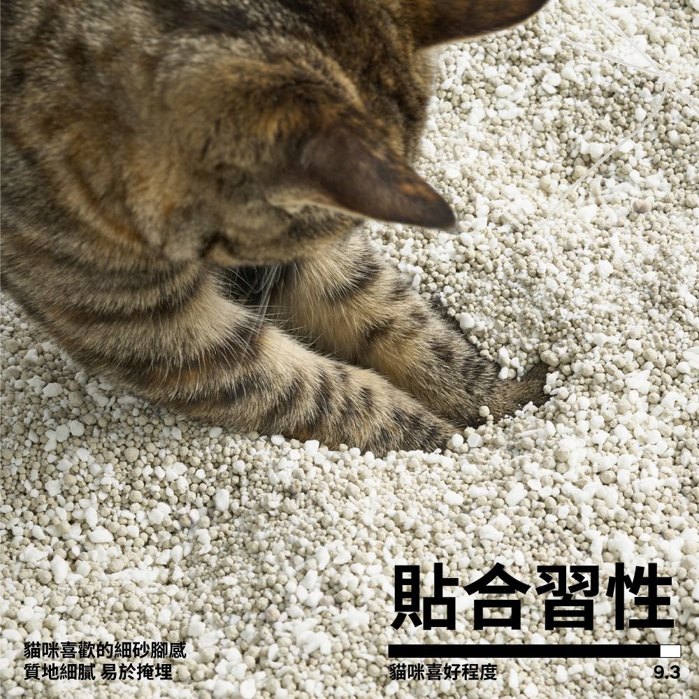 PIDAN 木薯貓砂 木薯礦砂 (木薯砂+礦砂) 超值四包入