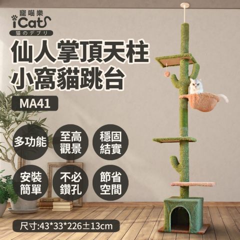iCat 寵喵樂-仙人掌頂天立地柱高層窩型貓跳台 (MA41)