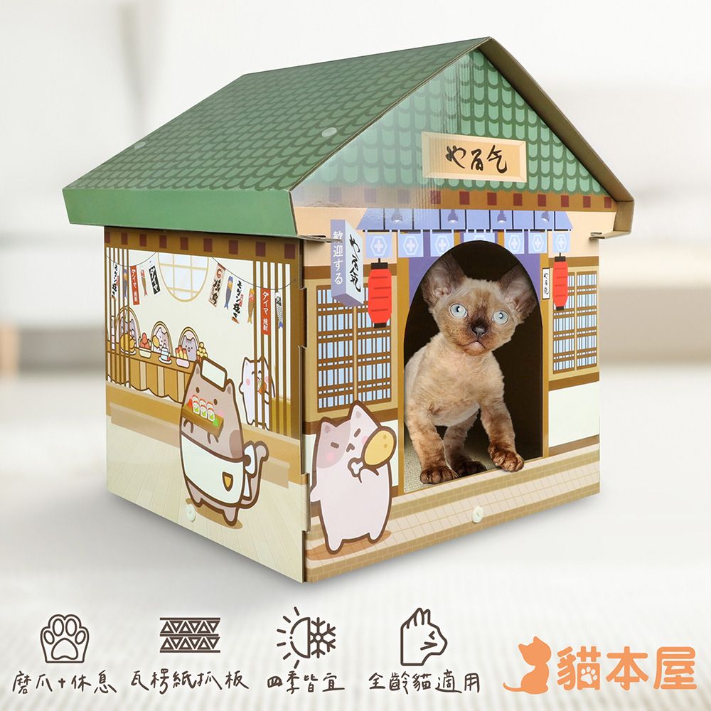 貓本屋  深夜食堂 加大尖頂 貓抓板貓屋