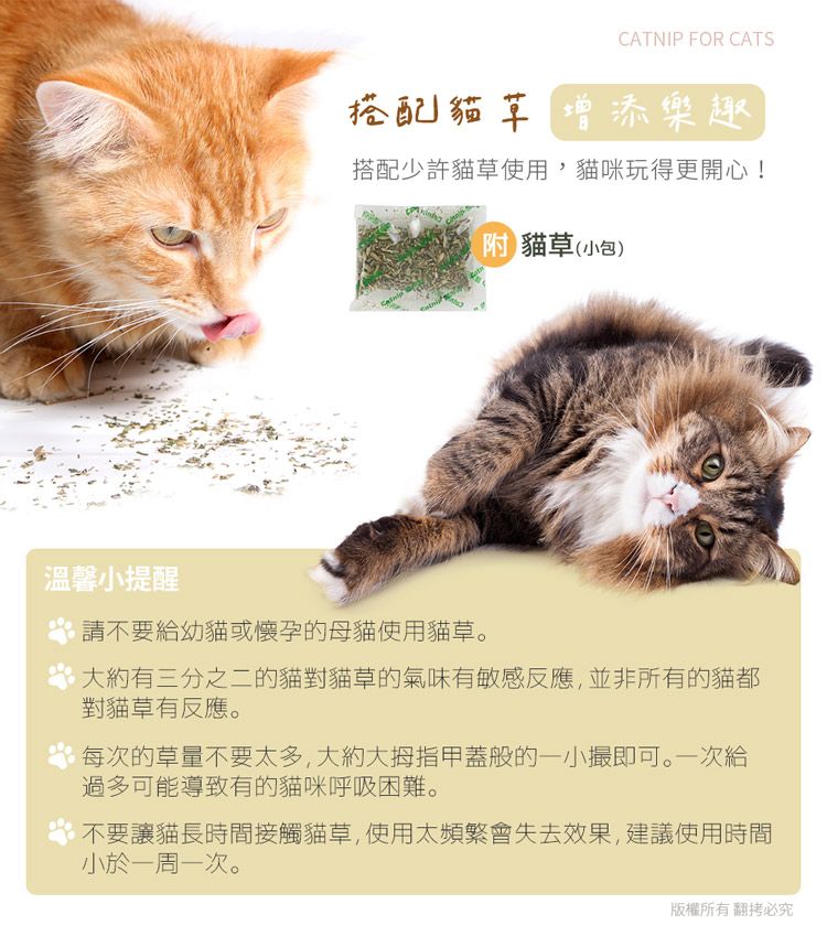 貓本屋  深夜食堂 加大尖頂 貓抓板貓屋