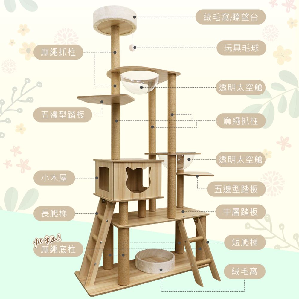 貓本屋  挑高雙太空艙 雙爬梯多層貓跳台(190cm)