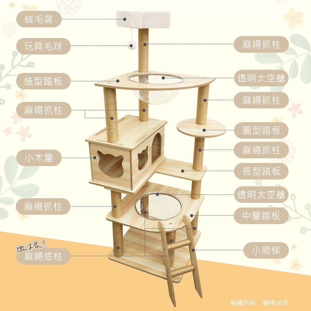 貓本屋  雙太空艙爬梯加厚木紋多層貓跳台(145cm)