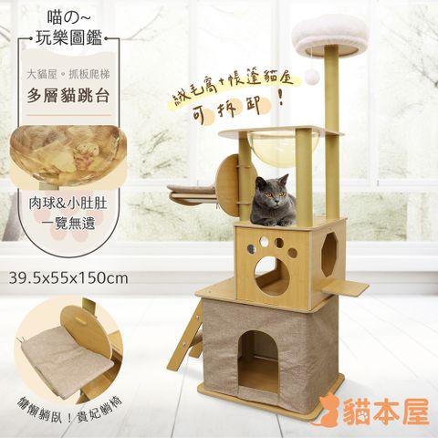 貓本屋 150cm豪華加大雙貓屋太空艙貓跳台(附貴妃躺枕)