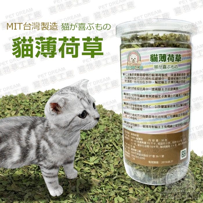 PET DREAM 貓薄荷草30g瓶裝 台灣製造 貓零食 貓咪 喵星人 貓食品 寵物食品