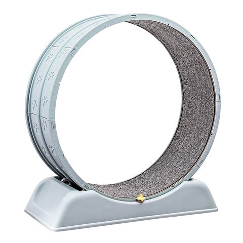 【PET DREAM】貓咪跑步滾輪 貓咪跑步機 貓咪跑輪 貓滾輪 貓咪玩具 寵物健身跑步滾輪 寵物用品