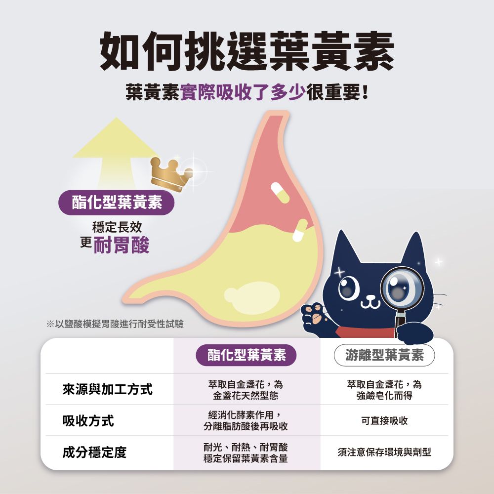 汪汪寶貝 寵物眼睛保健營養品-增眼力 350g (寵物保健品)
