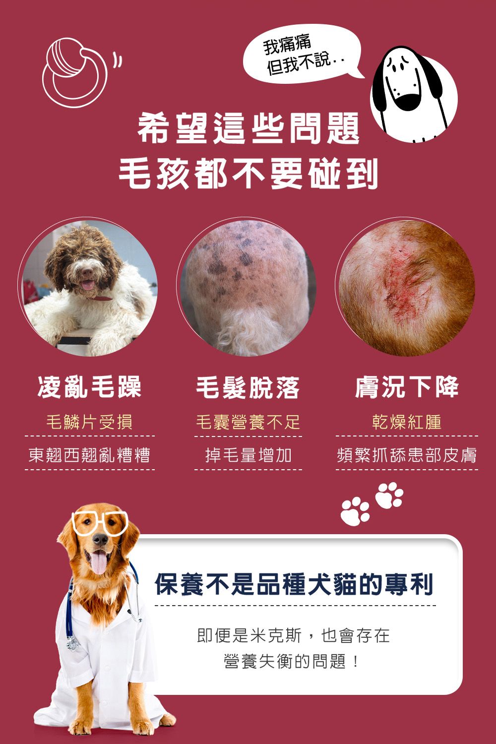 我痛痛但我不說希望這些問題毛孩都不要碰到凌亂毛躁毛髮脫落膚況下降毛鱗片受損毛囊營養不足乾燥紅腫東翹西翹亂糟糟掉毛量增加頻繁抓舔患部皮膚保養不是品種犬貓的專利即便是米克斯,也會存在營養失衡的問題!