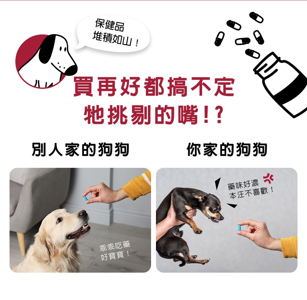 保健堆積如山!買再好都搞不定牠挑剔的嘴!?別人家的狗狗乖乖吃藥好寶寶!品你家的狗狗藥味好濃本不喜歡!
