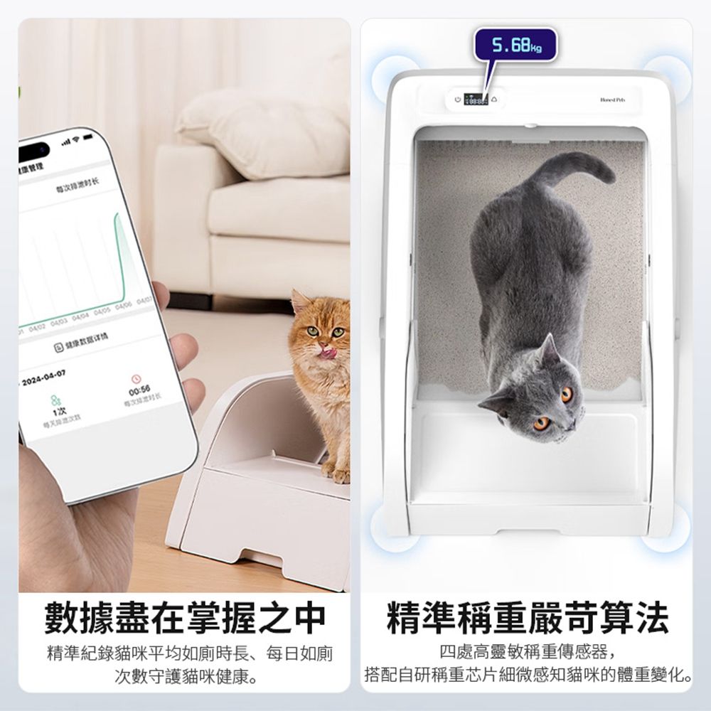  貓砂盆 全自動貓砂機 多貓識別 智能防夾 手機APP控制 視訊語音通話 除臭大貓通用Q1 Pro