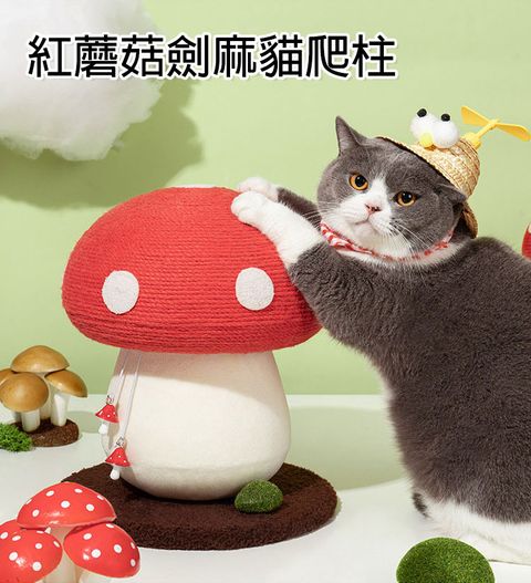 ❤送橘貓立體口罩❤【SHOWHAN】紅蘑菇劍麻貓爬柱