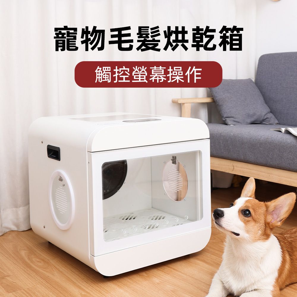  周周 寵物毛髮烘乾箱 寵物烘毛機 烘乾箱 烘毛機 烘毛機 小型犬烘毛機 貓咪烘乾箱 貓咪烘毛機